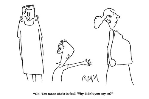 'Oh!  You mean she's in foal!...'