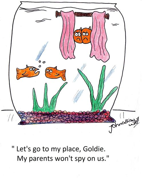 "Let's go to my place, Goldie. My parents won't spy on us."