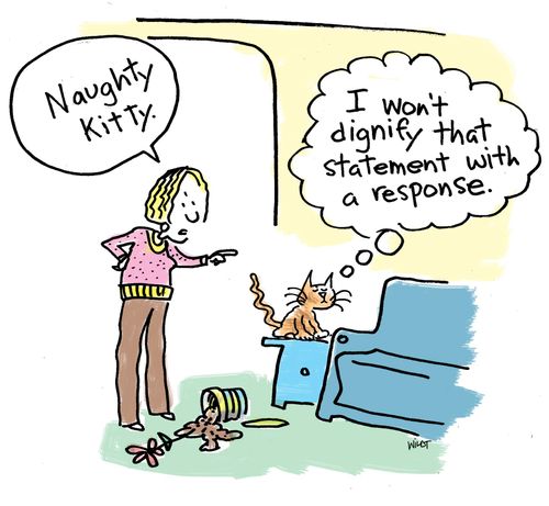 'I won't dignify that statement with a response.'