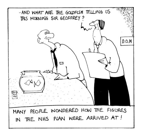 'Many people wondered how the figures in the NHS plan were arrived at!'