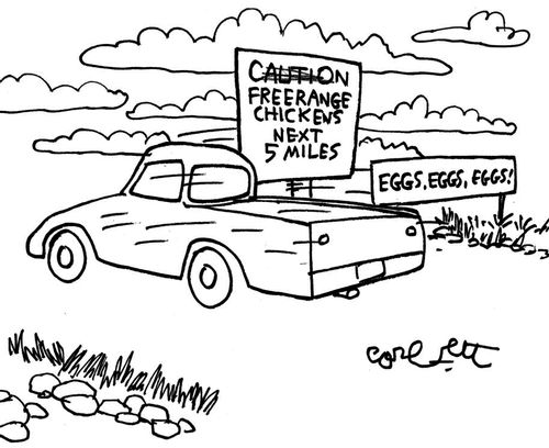 Caution: Free range chickens next five miles. . . eggs, eggs, eggs!