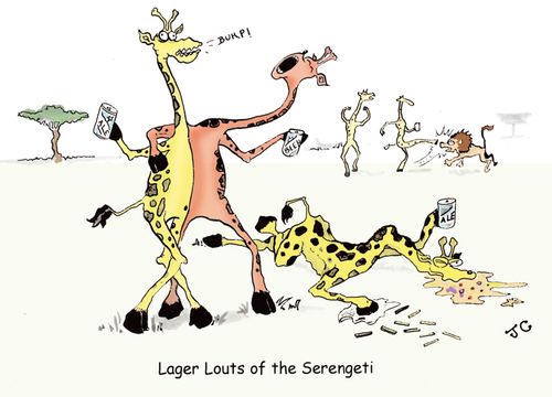 Lager louts of the Serengeti.