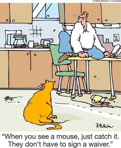 'When you see a mouse, just catch it. They don't have to sign a waiver.' 