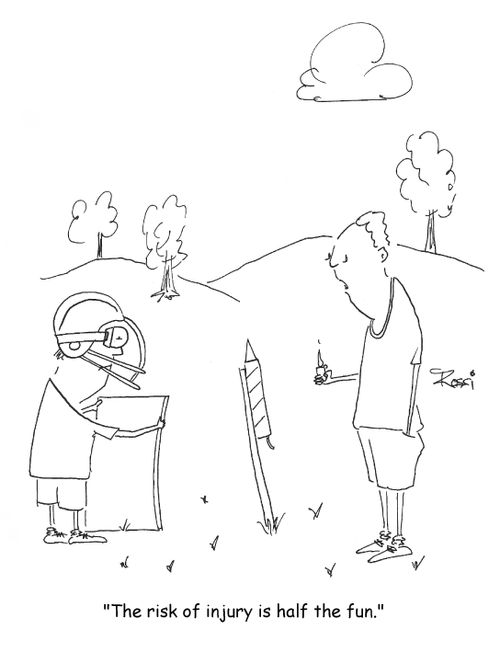 'The risk of injury is half the fun.'