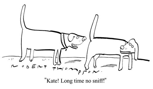 "Kate! Long time, no sniff!"