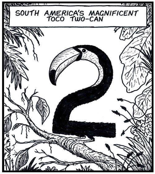 South America's magnificent Toco Two-can.