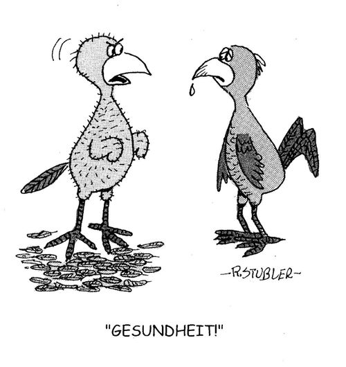'Gesundheit!'