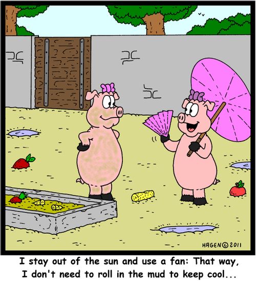 'I stay out of the sun and use a fan: That way, I don't need to roll in the mud to keep cool...'
