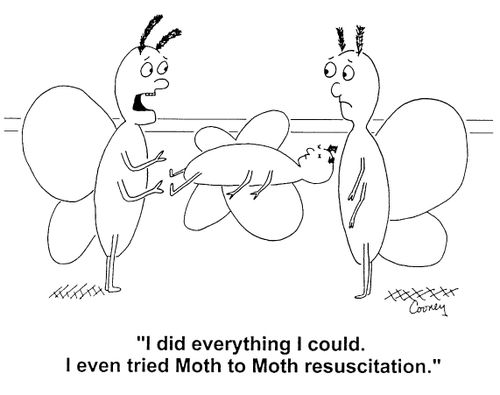 'Moth to Moth resuscitation'