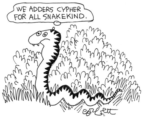 'We adders cypher for all snakekind.'