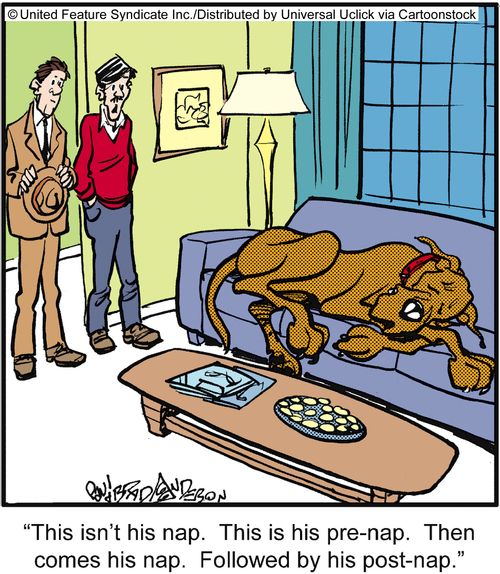 'This isn't his nap. This is his pre-nap. Then comes his nap. Followed by his post-nap.'