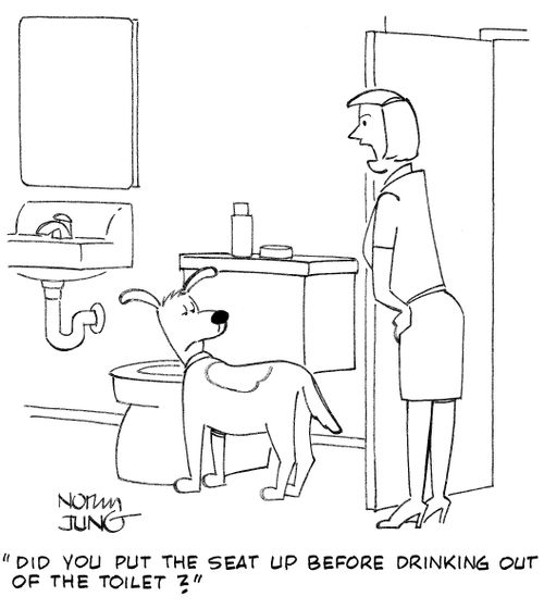 "Did you put the seat up before drinking out of the toilet?"