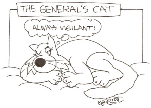 The General's Cat: 'Always vigilant!'