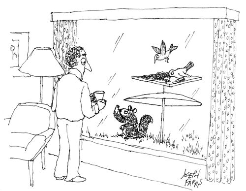 Squirrel Tapping On Window Demanding Food.