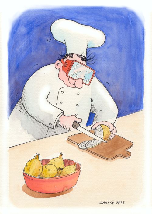 Cutting onions