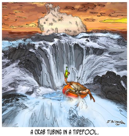 A Crab Tubing in a Tidepool