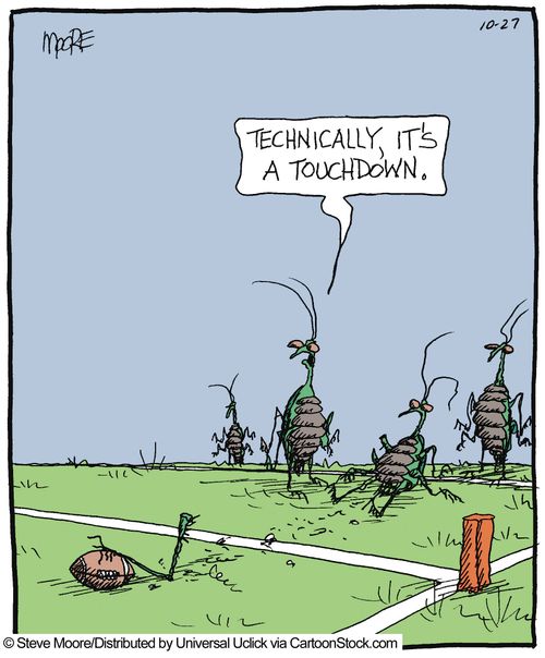 'Technically it's a touchdown.'