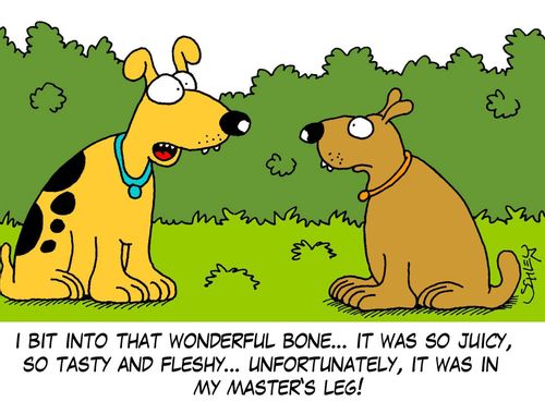 'I bit into that wonderful bone... it was so juicy, so tasty and fleshy... unfortunately, it was in my master's leg!'