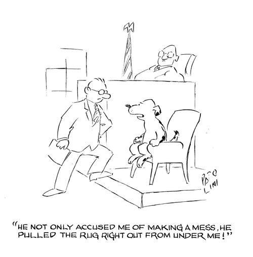 'He not only accused me of making a mess, he pulled the rug right out from under me!'