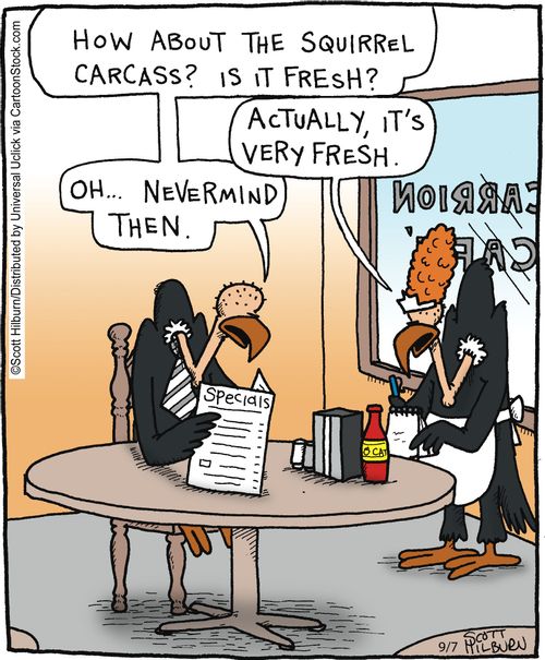 Vulture declines fresh food.
