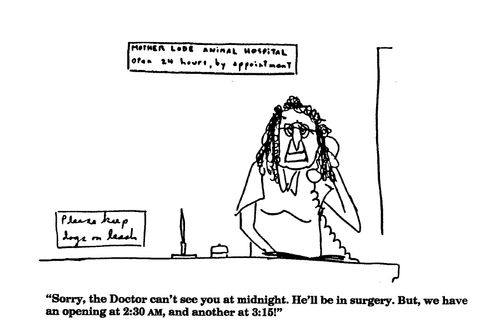 'Sorry, the Doctor can't see you at midnight.  He'll be in surgery....