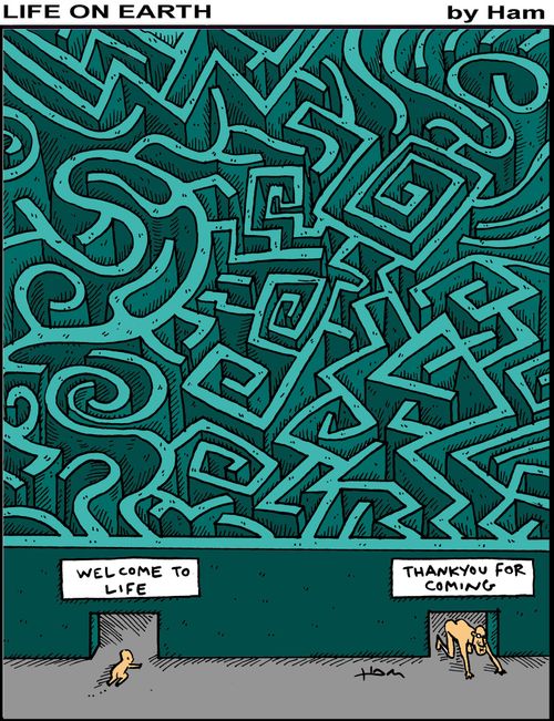 Maze life.