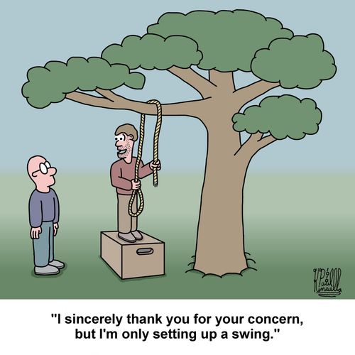 'I sincerely thank you for your concern, but I'm only setting up a swing.'