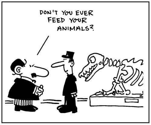 'Don't you ever feed your animals?'