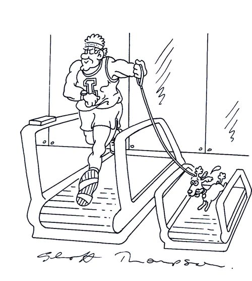 Man and dog on treadmills.