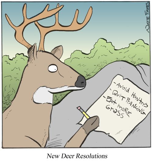 New Deer Resolutions