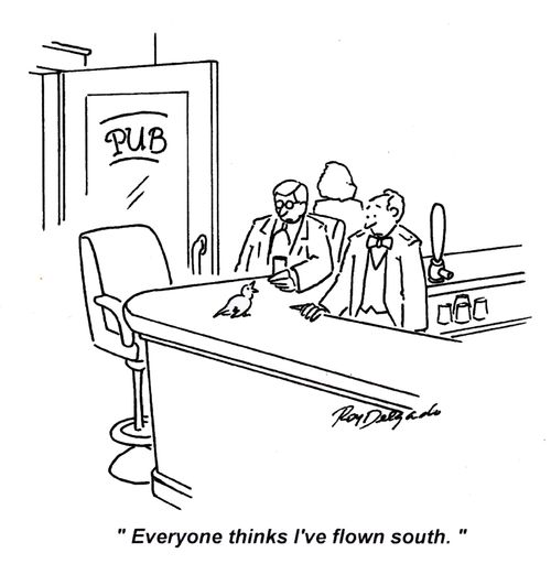 'Everyone thinks I've flown south.'