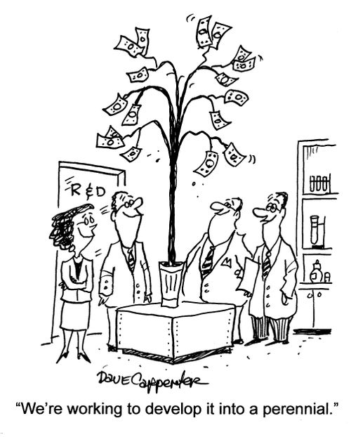 'We're working to develope it into a perennial.'