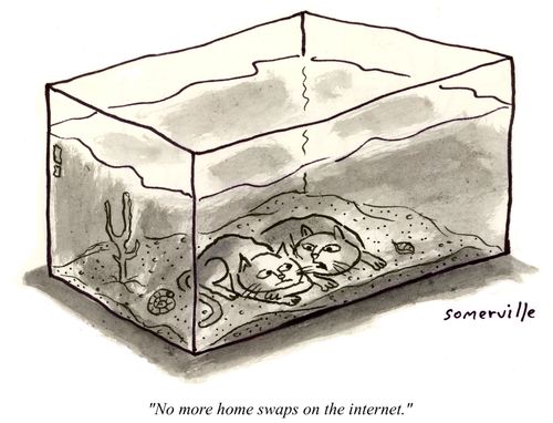 "No more home swaps on the internet."