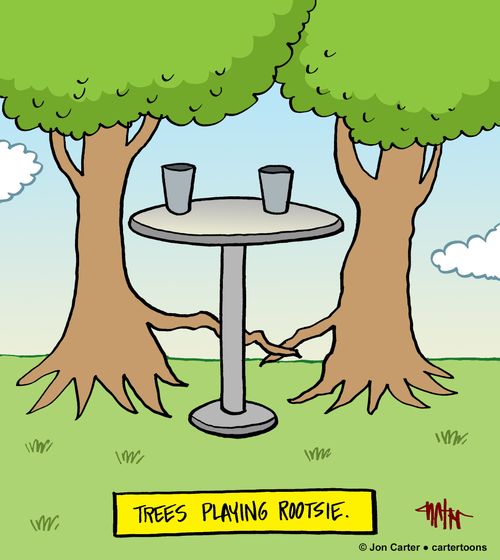 Trees playing rootsie.