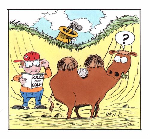 Golf ball stuck on a camel in a bunker next to a confused looking golfer