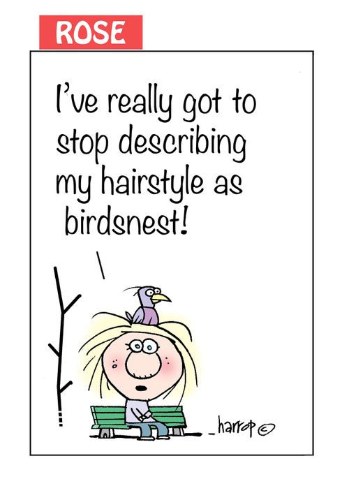 "I've really got to stop describing my hairstyle as birdsnest!"
