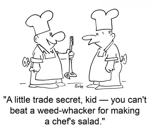'A little trade secret, kid — you can't beat a weed-whacker for making a chef's salad.'