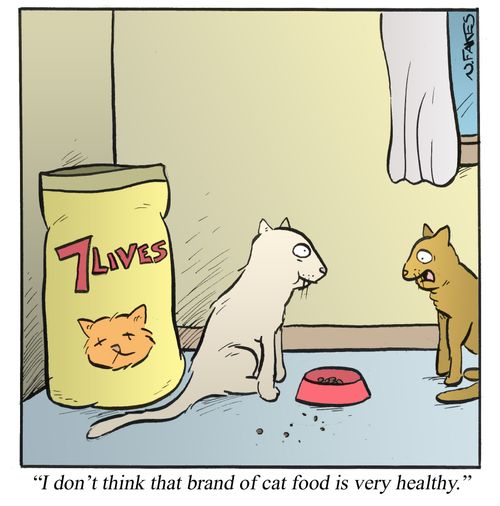 'I don't think that brand of cat food is very healthy.'