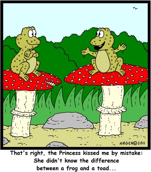 'That's right, the Princess kissed me by mistake: She didn't know the difference between a frog and a toad...'