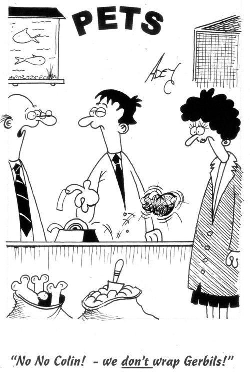 'No No Colin! - we don't wrap Gerbils!'