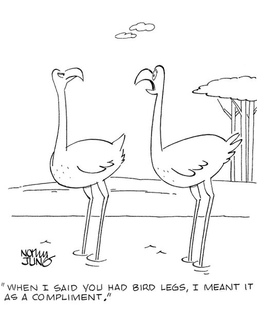 'When I said you had bird legs, I meant it as a compliment.'