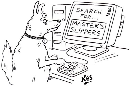 Dog at computer screen initiates a search for master's slippers.