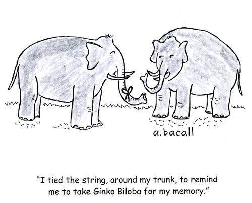 'I tied the string around my trunk to remind me to take ginko biloba for my memory.'