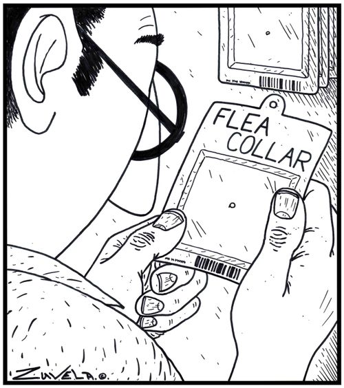 Flea Collar.