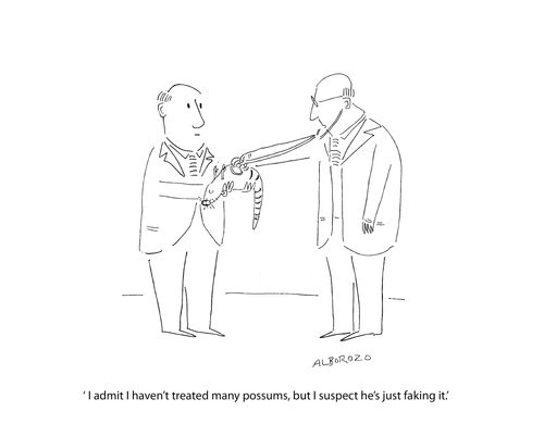 "I admit I haven't treated many possums, but I suspect he's just faking it."