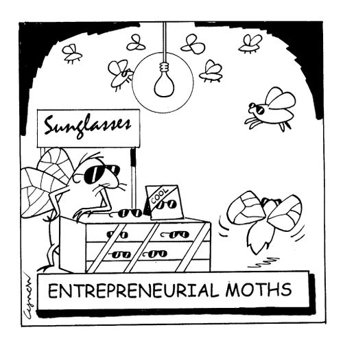 Entrepreneurial Moths