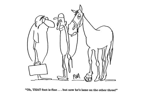 'Oh, THAT foot is fine...but now he's lame on the other three!'