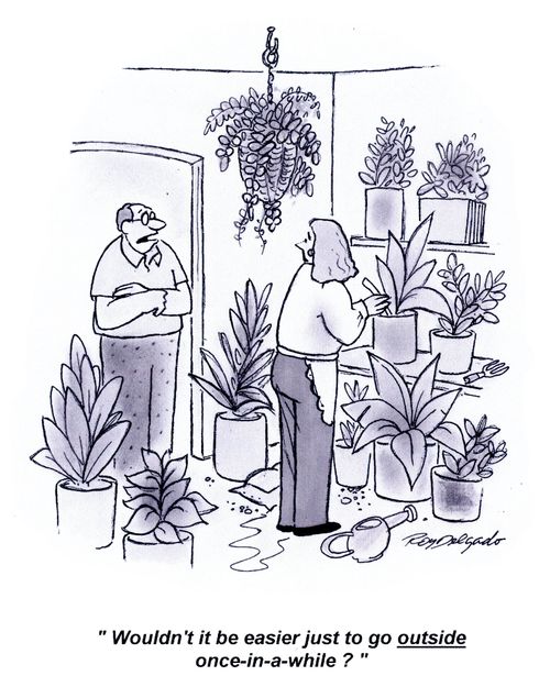 'Wouldn't it be easier just to go outside once-in-a-while?'