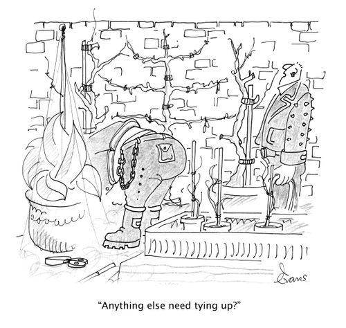 'Anything else need tying up?'
