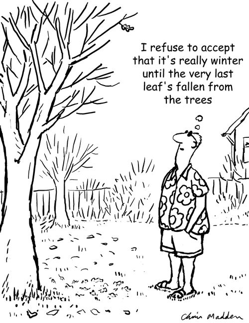'I refuse to accept that it's really winter until the very last leaf's fallen from the trees'